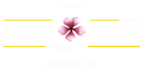 Manas Resort