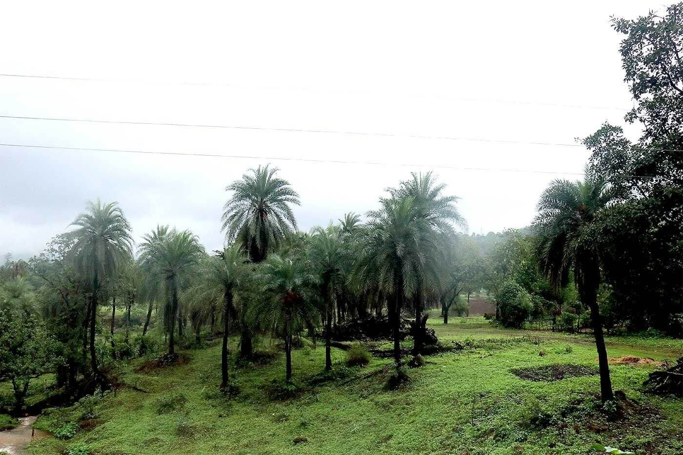 Falls surroundings