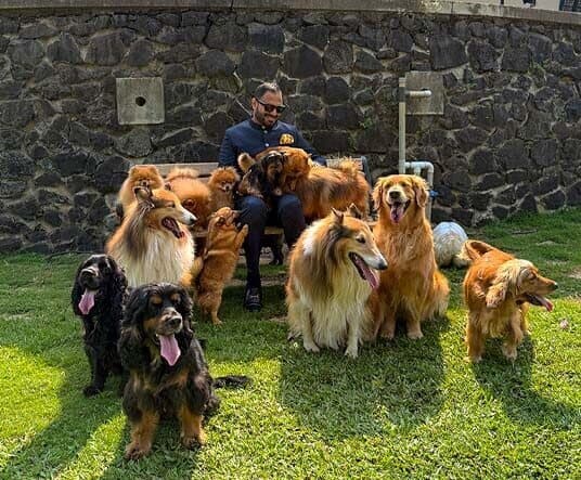 Pet therapy calm interaction at Manas Resort Igatpuri
